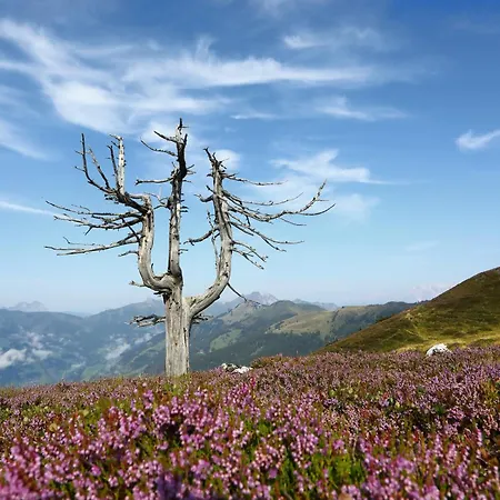 Berggasthof Loosbuehelalm Großarl