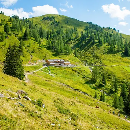 Berggasthof Loosbuehelalm Großarl