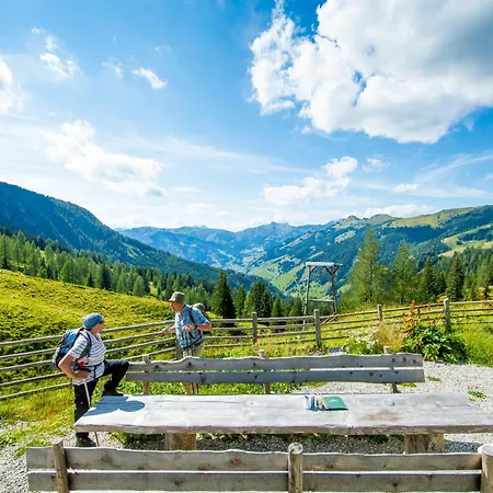 Berggasthof Loosbuehelalm Gasthof Großarl
