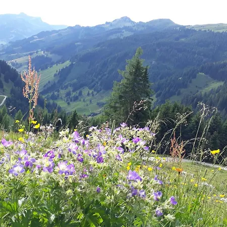 Berggasthof Loosbuehelalm *